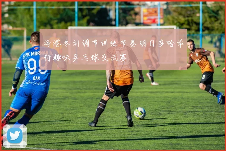 海港冬训调节训练节奏明日多哈举行趣味乒乓球交流赛