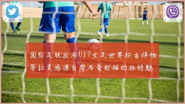 国际足联发布U17女足世界杯吉祥物蒂拉灵感源自摩洛哥狞猫的独特魅力